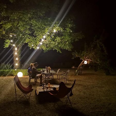 Domaine De La Celarie Mouzieys-Teulet Ngoại thất bức ảnh
